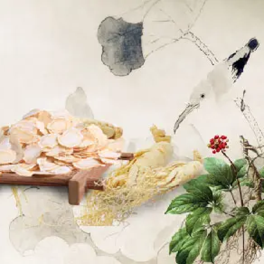 drsarmiento_intervenciones_medicina_tradicional_china